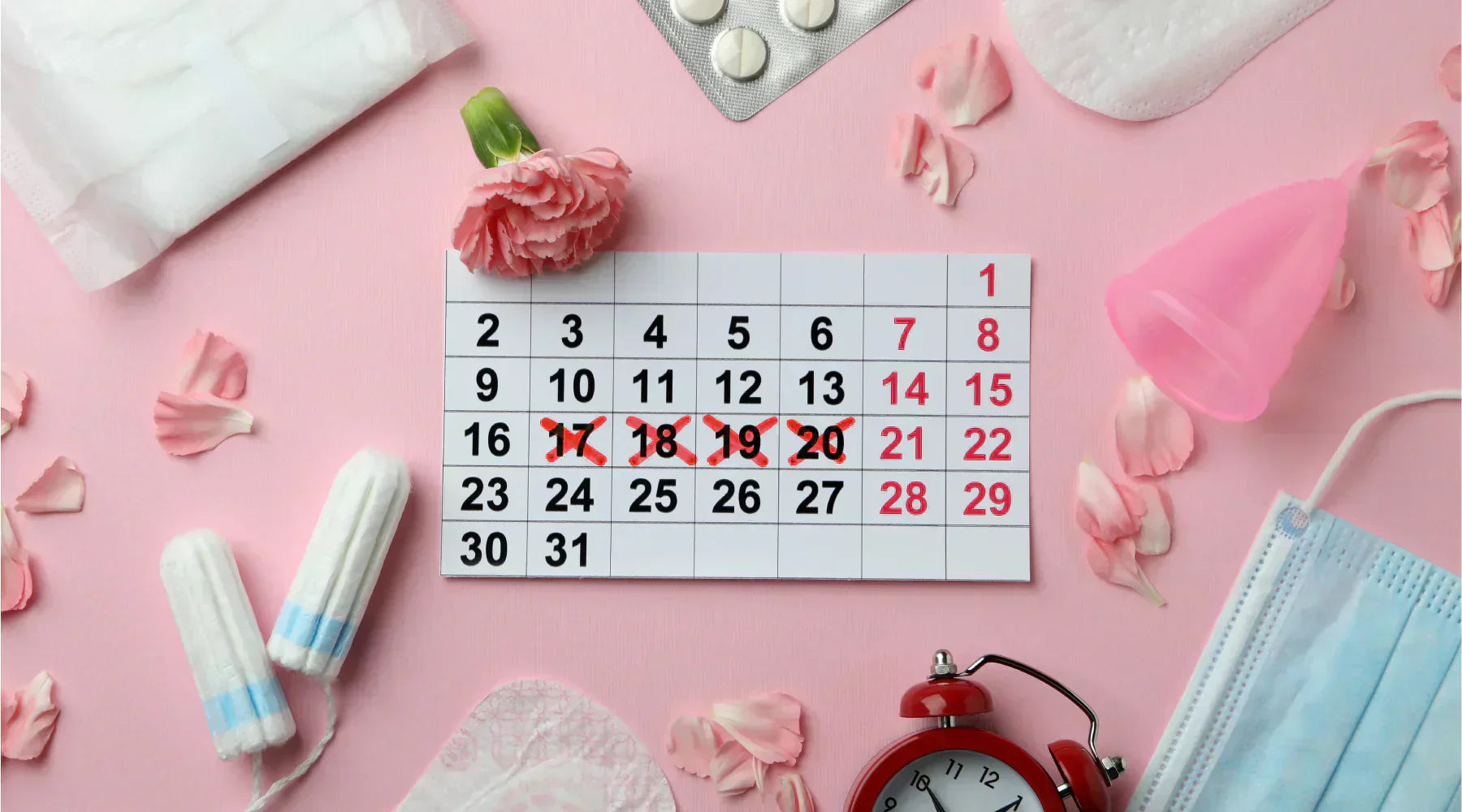 Menopause & Perimenopause Collection: Routine Options and Product Comparisons